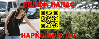 амф Пенза